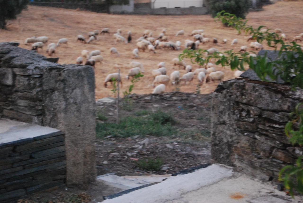 Casa Dos Primos Hotel Muxagata  Kültér fotó