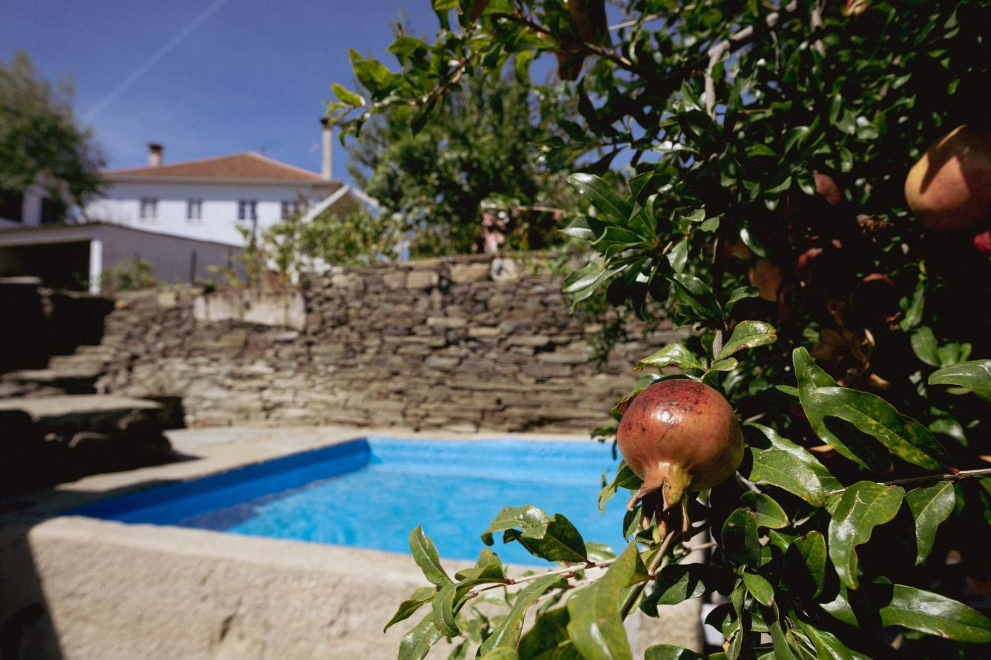 Casa Dos Primos Hotel Muxagata  Kültér fotó